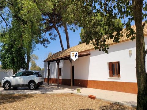 Situated close to the popular town of Marchena, in the province of Sevilla in Andalucia, Spain. This beautifully presented easy living, one level, Chalet property is accessed through a private gated entrance and sits within a fenced 7,700m2 level plo...
