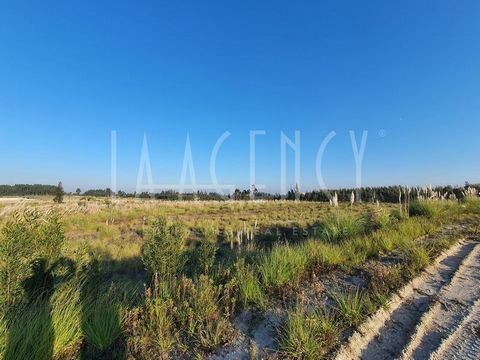 Land is next to the A17, 5 minutes from the A1 and A25 junction, 30 minutes from Porto, 2 hours from Lisbon and 10 minutes from the commercial port of Aveiro. The land is in a strategic location with a very good road network, with the possibility of ...