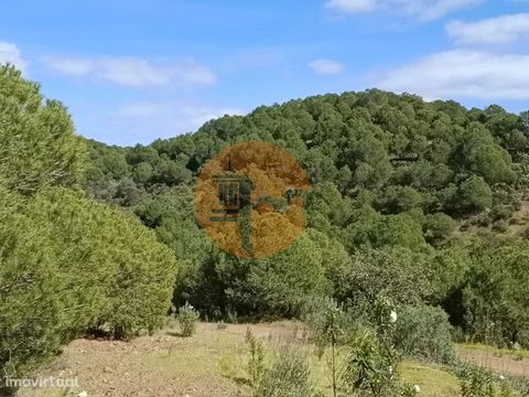 Land with 87,920 m2, near Sentinela, Azinhal in Castro Marim - Algarve. The land is part of the municipal planning plan of the PDM of Castro Marim. Where it is possible to build. Sustainable Agriculture and Tourism Projects. Agro Tourism, Camping. It...