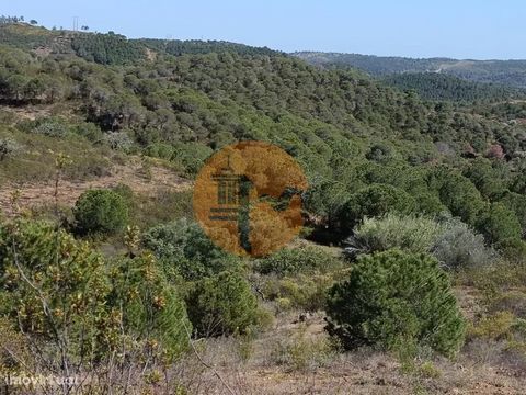 Rustiek land met 19,40 m2, in de buurt van Vale Pereiro in Odeleite, Castro Marim - Algarve. Land met vlak gedeelte. Vlak terrein met een flauwe helling. Land heeft een uitstekende blootstelling aan de zon. Plaats met een uitstekend vrij uitzicht op ...