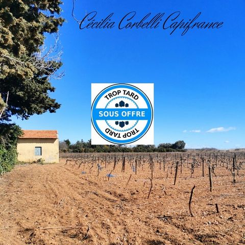 Dpt Hérault (34), terrain agricole d'environ 3000 m2 avec Mazet et parcelle viticole à Frontignan