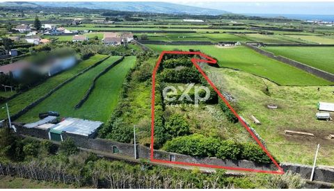 We offer a unique opportunity to purchase a farm, located in the charming Pico da Pedra, in the municipality of Ribeira Grande. With a generous area of 3100m², this property enjoys sea views, providing a truly idyllic setting for lovers of nature and...