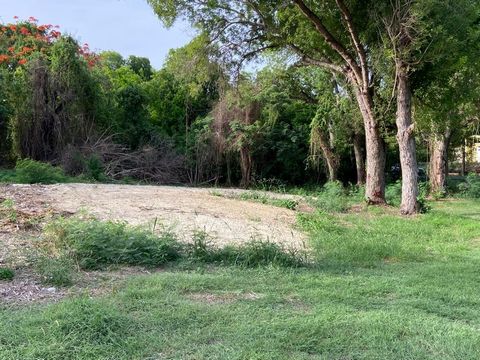 Excellent mid island building lot. Mature shade trees adorn this flat, cleared lot which will keep your future home nice and cool. Just minutes to Sunny Isle Shopping Center, the hospital, movie theater, restaurants and banking. Look for the power po...