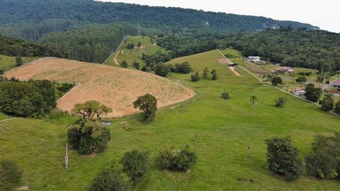 Land for Farm for Sale with a deeded area of 22.00 hectares With 16 hectares of floor area and approximately 10.0 hectares for mechanized planting Located in the municipality of Dona Emma in Santa Catarina, and is only 03 minutes from the city center...