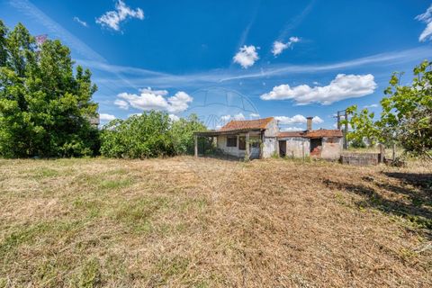 Villa de 2 chambres à vendre Opportunité unique ! Terrain en ruine à vendre à Nossa Senhora de Fátima, Entroncamento. Ce terrain de 5 163m2 comprend un terrain urbain avec une ruine d’une villa de 2 chambres, offrant de nombreuses possibilités de dév...