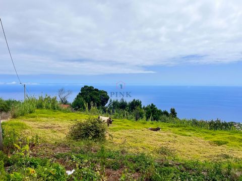 For sale land with 950 m2 located in the parish of Ponta do Sol with sea view and mountain view. The land stands out for its view, good access and easy construction due to the low slope. It allows the construction of a villa for permanent housing wit...