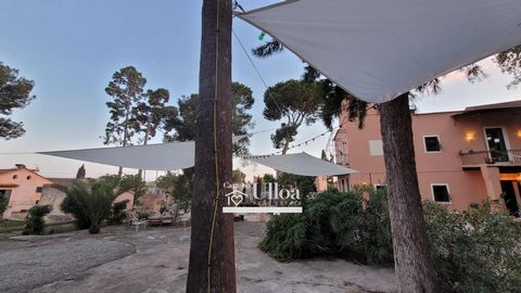VIVIR EN UN PALACETE ALICANTINODescubre la oportunidad de vivir en una espectacular casa del 1830, con una superficie construida de 311 m² en Alicante. Con una parcela de 3501 m² y a tan solo 10 minutos de la playa, esta propiedad cuenta con 7 habita...