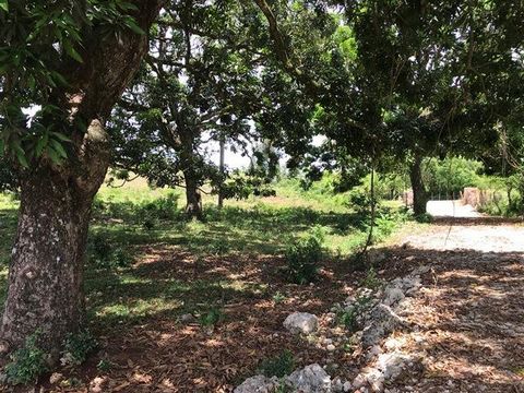 Cabrera ( Maria Trinidad Sanchez, DO ) Located just over 3 miles from Cabrera this small gated community might be a near perfect fit for what you’ve been seeking. Those who like the peaceful non congested feeling that comes from living in a smaller c...