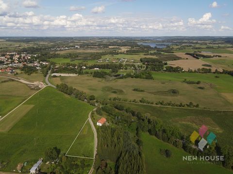 The plot is located in an extremely picturesque area in the vicinity of a larch forest, on a slight hill with a beautiful view of the surrounding meadows and fields. The area is very quiet near numerous forest complexes and lakes, giving opportunitie...