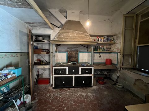 photo no. 5