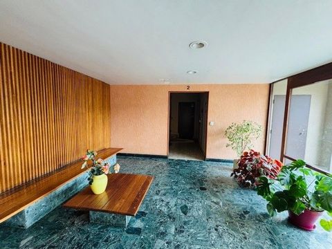 photo no. 11