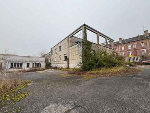 photo no. 4