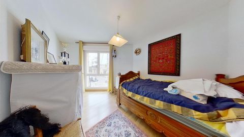 photo no. 11