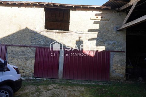 photo no. 16
