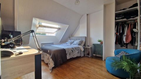 photo no. 11