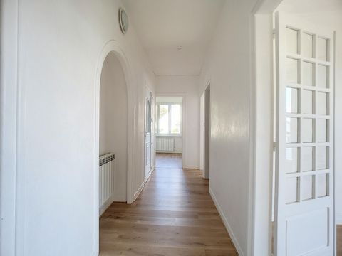 photo no. 5