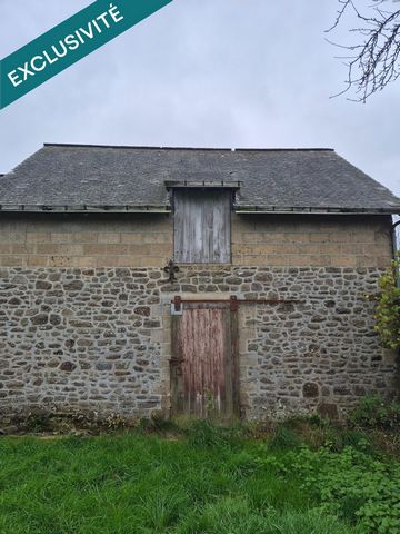photo no. 5