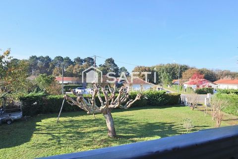 photo no. 10