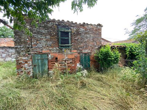 photo no. 13