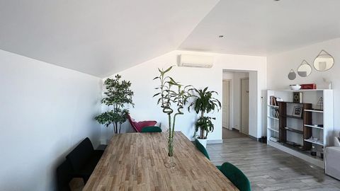 photo no. 6