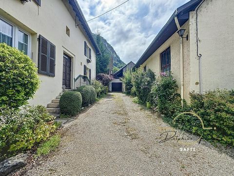 photo no. 11