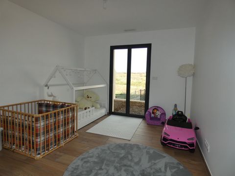 photo no. 8