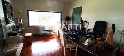 photo no. 9