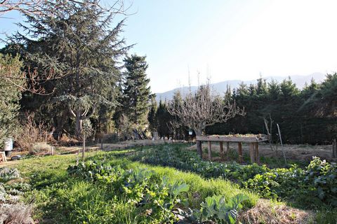 photo no. 13