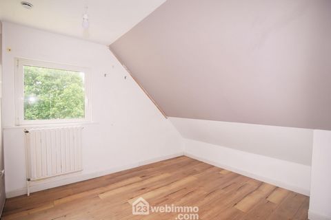 photo no. 13