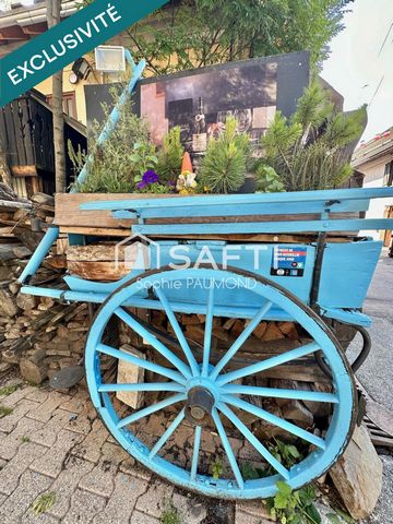 photo no. 4