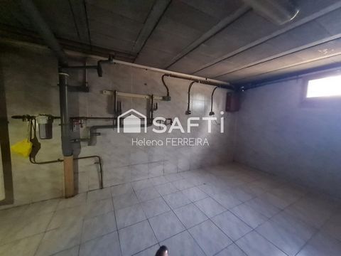 photo no. 11