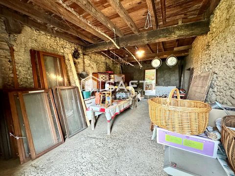 photo no. 4
