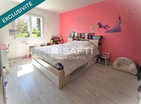 photo no. 10