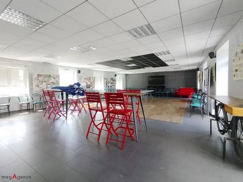 photo no. 10