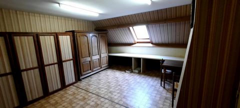 photo no. 11