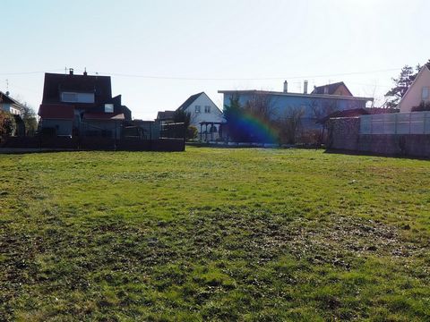 photo no. 2