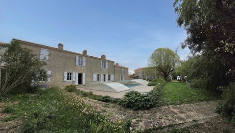 photo no. 1
