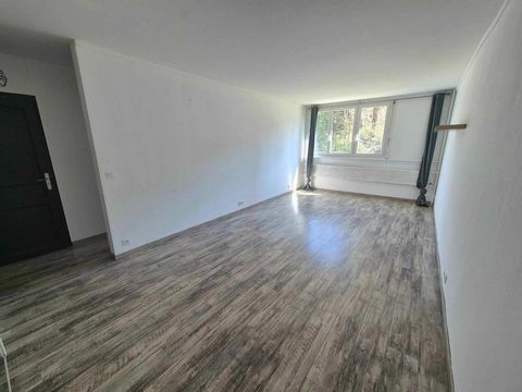 photo no. 12