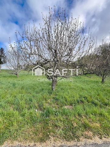 TERRAIN CONSTRUCTIBLE DE 3840 m2 À SAISIR_SAINT-CLÉMENT_19700