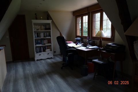 photo no. 6
