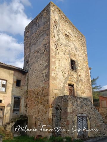 photo no. 1