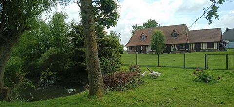 photo no. 6