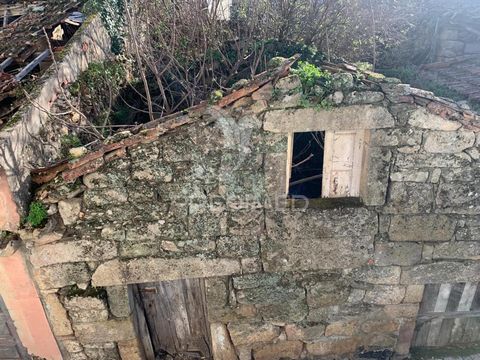 Casa totalmente em Ruínas, inserida numa aldeia na zona do Douro Vinhateiro ( S. Mamede Ribatúa). Zona muito calma e perto da cidade de Alijó. Dá para construção de 2 pisos com um total de 60m2 util.  