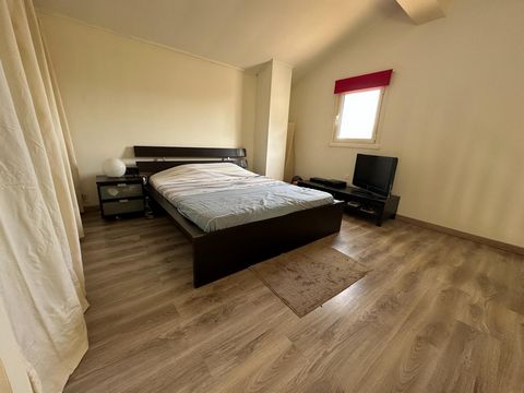 photo no. 16