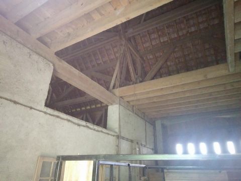 photo no. 8