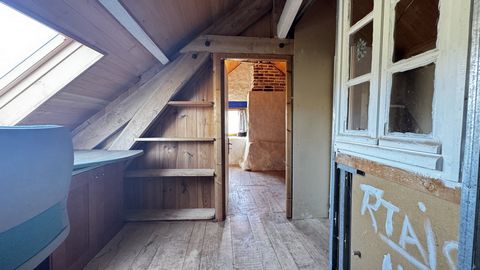 photo no. 13