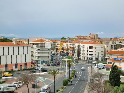 photo no. 7