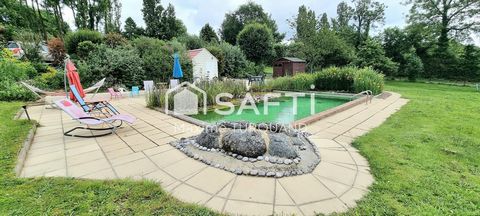 photo no. 12