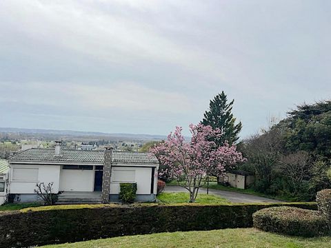 photo no. 14