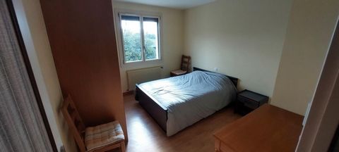 photo no. 10